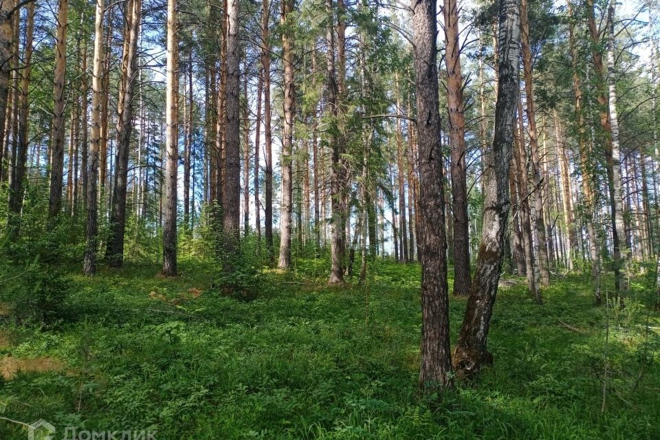 земля г Дегтярск ул Уральская 43 Дегтярск городской округ фото 2