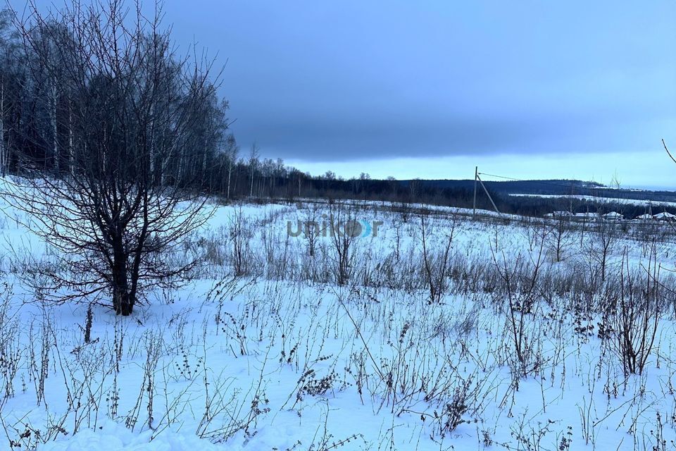 земля г Октябрьский пр-кт Ленина Октябрьский городской округ фото 2