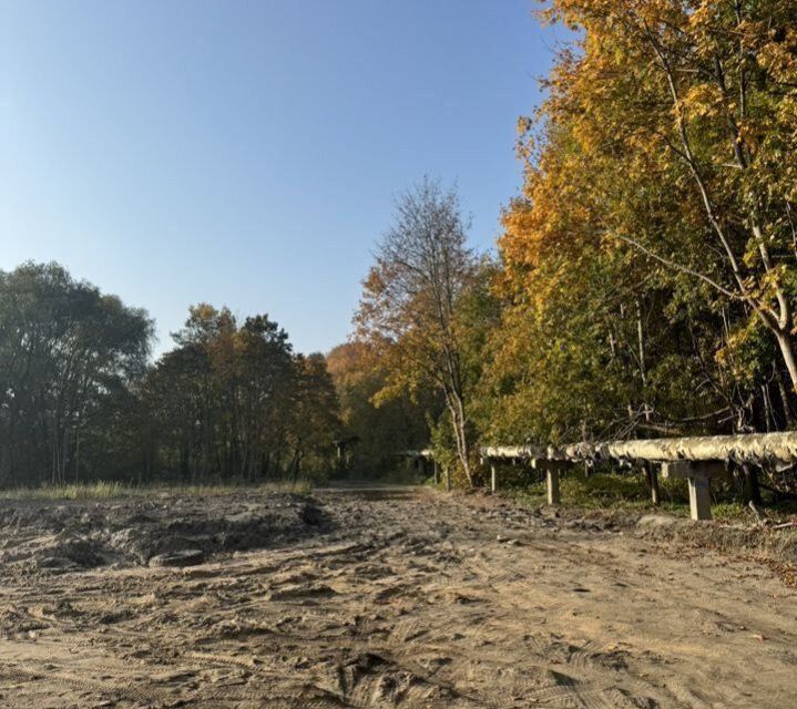 земля г Калининград р-н Центральный Калининград городской округ, Велосипедная дорога фото 4