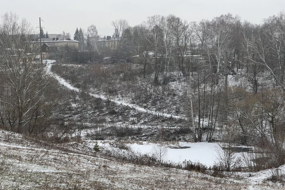 дом р-н Орловский д. Некрасовка фото 2