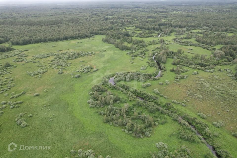 земля р-н Нижнетавдинский д. Красный Яр фото 3