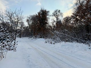 дом г Оренбург р-н Центральный пер Крымский 29 Оренбург городской округ фото 2