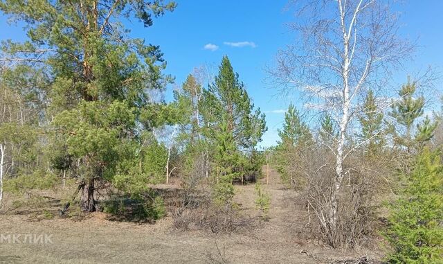 с Тулагино ул Новая Якутск городской округ фото