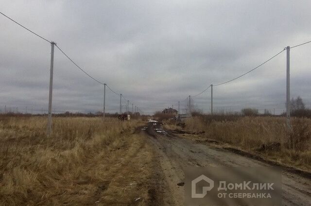 городской округ Тюмень, садовое общество Дубок фото