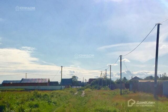 городской округ Тюмень, садовое общество Дубок фото