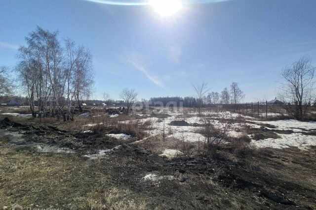 земля тер Лесхоз фото