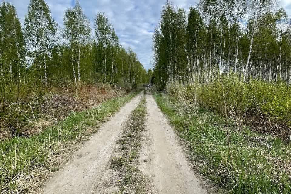 земля р-н Нижнетавдинский СНТСН Лесная сказка фото 3