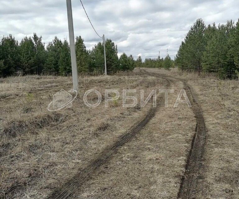 земля р-н Тюменский д. Насекина фото 2