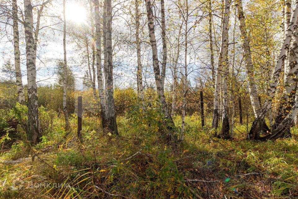 земля г Тюмень Тюмень городской округ, СНТ Березняки фото 10