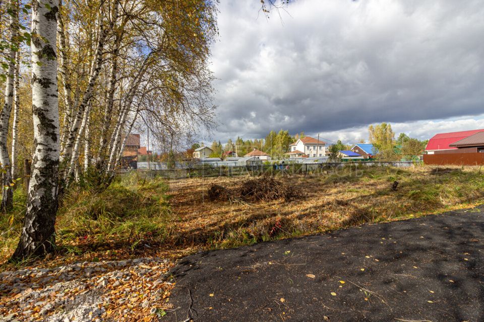 земля г Тюмень Тюмень городской округ, СНТ Березняки фото 8