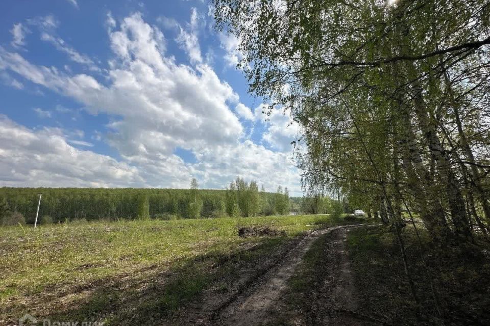 земля р-н Богородский д. Килелей фото 6