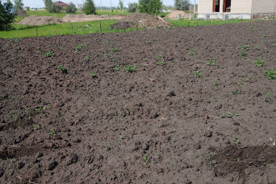 земля г Ульяновск р-н Заволжский Лебединая, городской округ Ульяновск фото 5