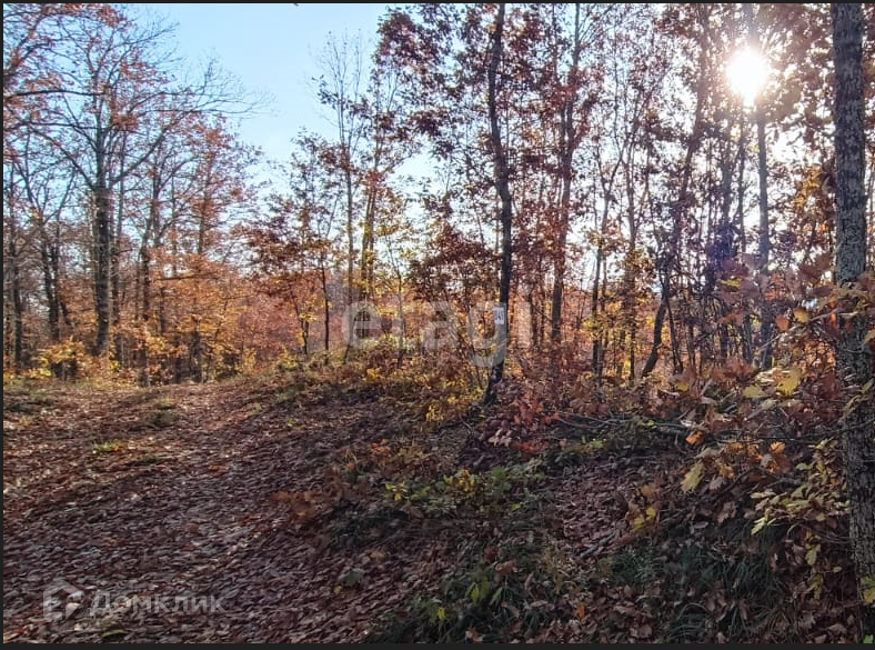 земля г Геленджик Геленджик городской округ, ДНТ Океан фото 5