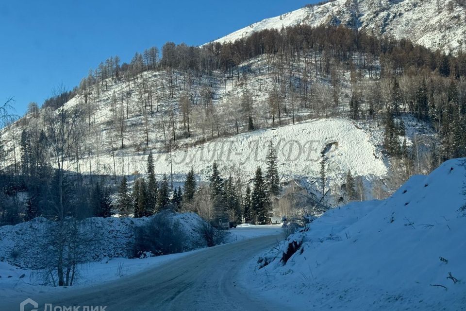 земля р-н Усть-Коксинский с Курдюм ул Мараловодов фото 9