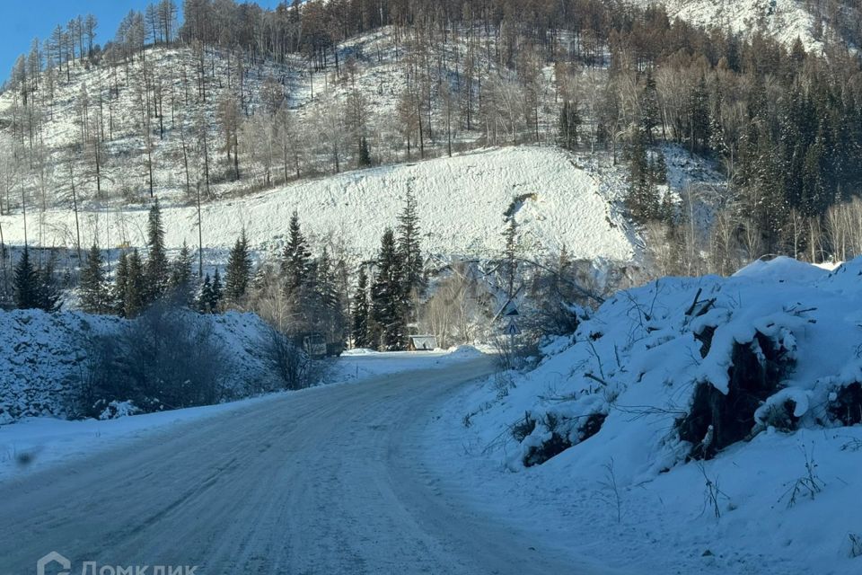 земля р-н Усть-Коксинский с Курдюм ул Мараловодов фото 10