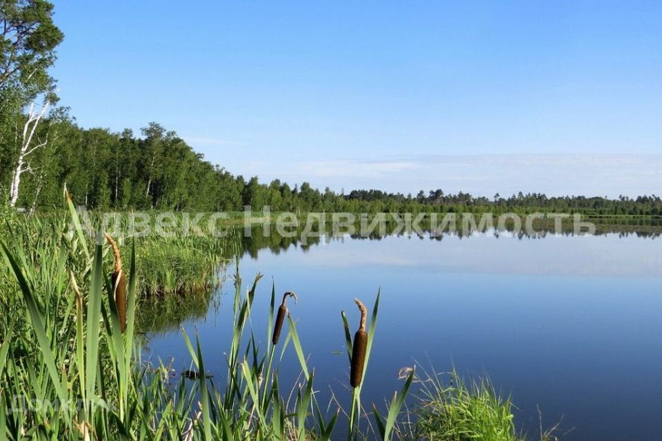 земля р-н Тюменский с Червишево ул Сиреневая 8 фото 9