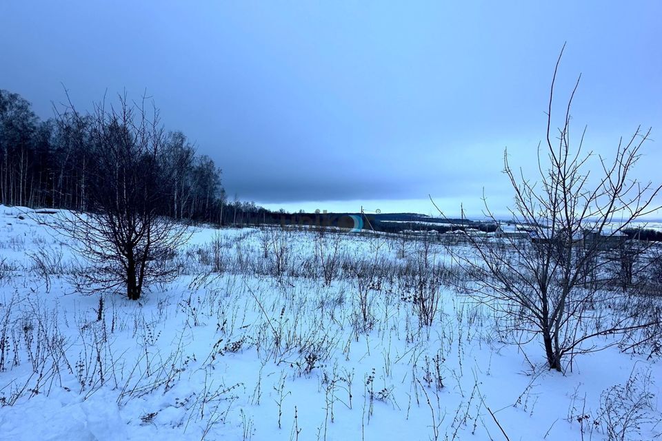 земля г Октябрьский пр-кт Ленина Октябрьский городской округ фото 6