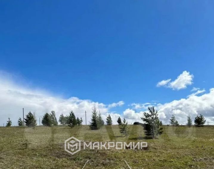 земля р-н Пермский д Большакино ул Алмазная фото 3