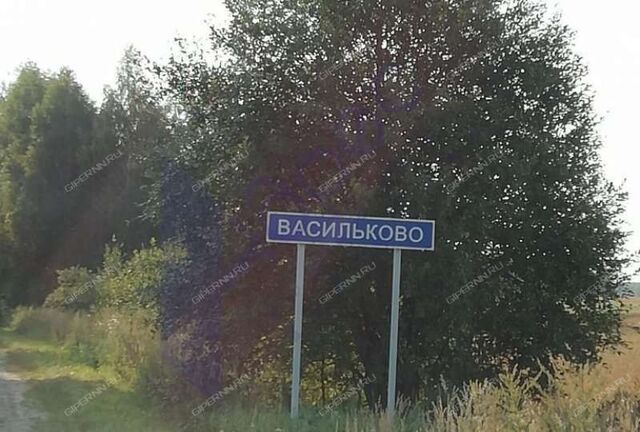 д Васильково Чкаловск фото