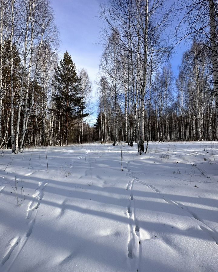 земля р-н Сысертский п Двуреченск ул Уральская 30а фото 3