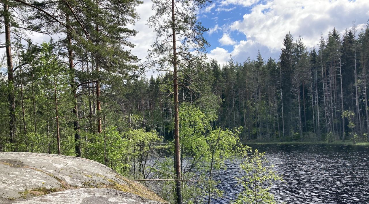 земля р-н Лахденпохский п Куркиеки ул Советская фото 2