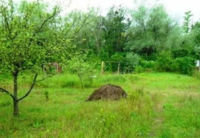 СНТ Цемент, Балаковский р-н, Балаково, муниципальное образование фото