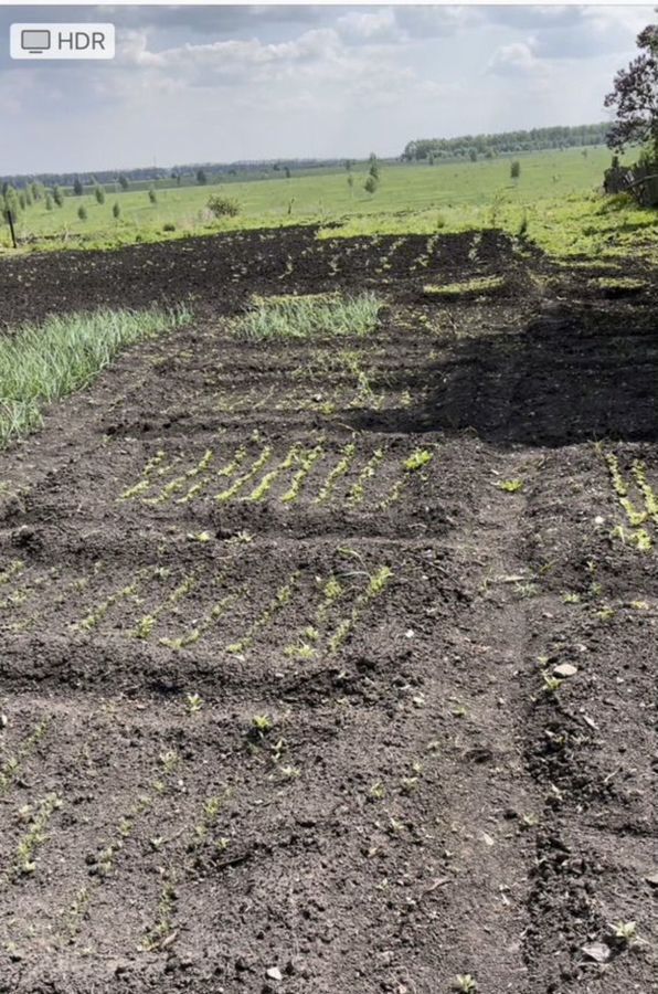 дом р-н Скопинский с Корневое ул Мира Корневское сельское поселение, Скопин фото 2