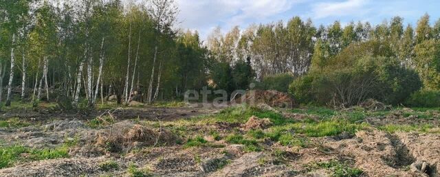 21 км, Краснопахорский р-н, ДНП Европейская Долина-2, 1-й Моравский пер, Москва, Троицк, Троицкий административный округ фото