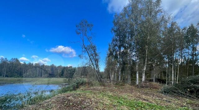 земля п Никифоровское Каменногорское городское поселение, Ханнила кп фото