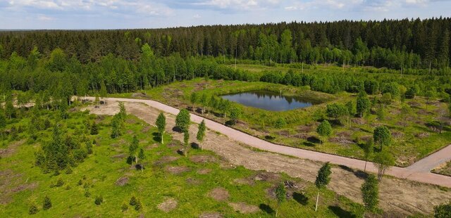 Рощинское городское поселение, коттеджный посёлок Рощинский хутор, 4 фото