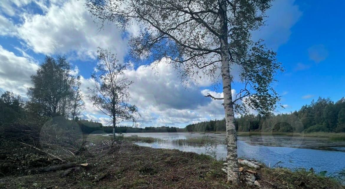 земля р-н Выборгский п Никифоровское Каменногорское городское поселение, Ханнила кп фото 3