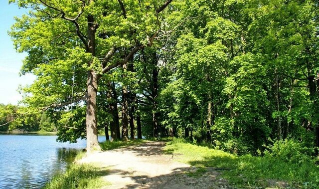 р-н Ломоносовский Проспект Ветеранов, Виллозское городское поселение, городской посёлок Виллози фото