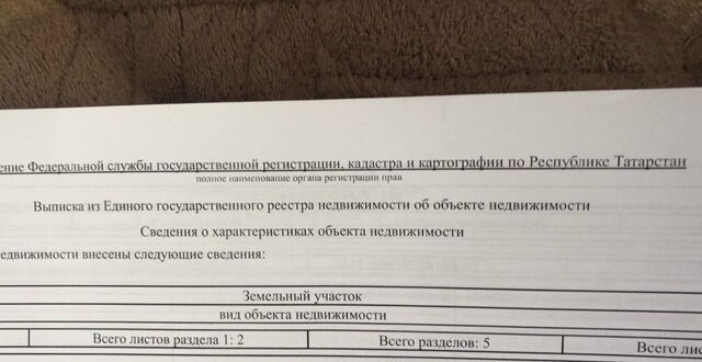 тер садоводческое товарищество Бентонит муниципальное образование Альметьевск фото