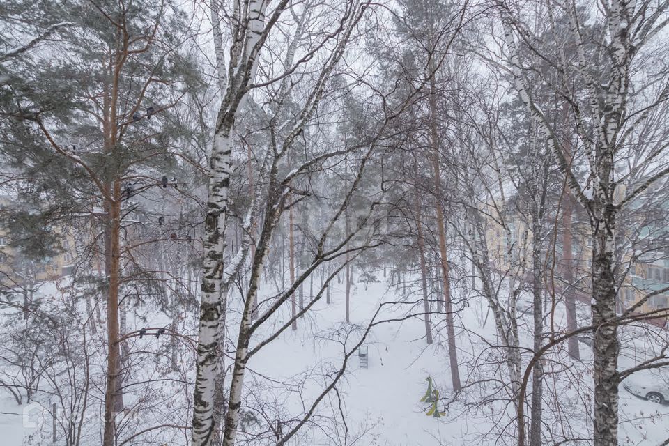 квартира г Новосибирск ул Терешковой 2 Новосибирск городской округ фото 6