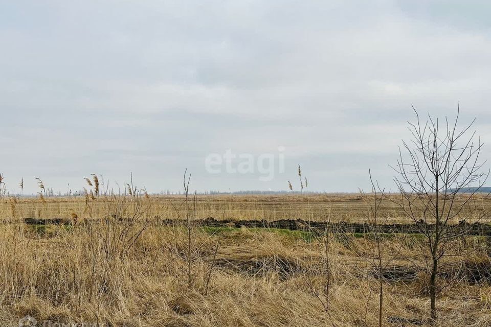 земля р-н Тахтамукайский СТ Приозёрное фото 1