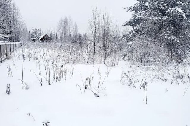 СНТ Вурдысь, Сыктывдинский муниципальный район фото