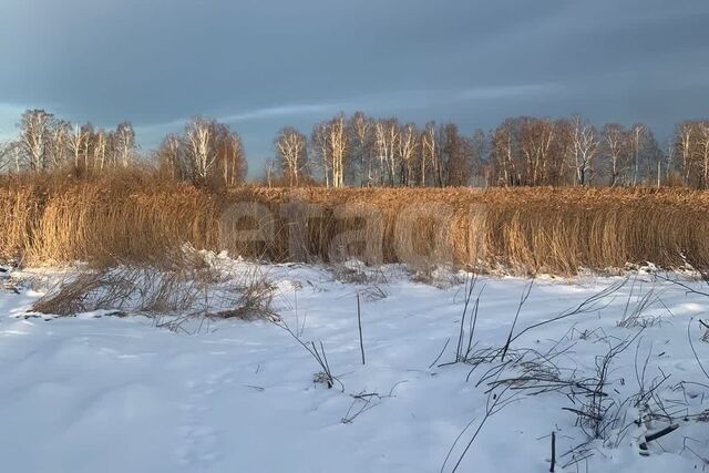 пл Центральная Тюмень городской округ фото