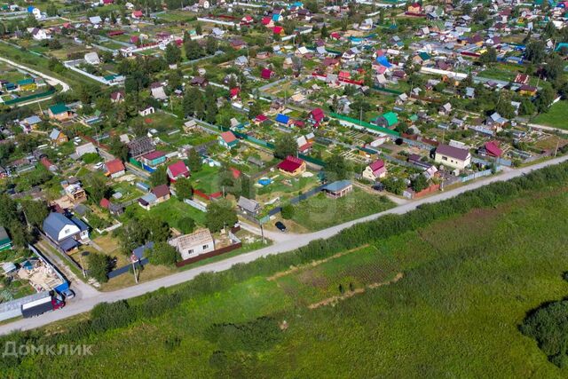 Тюмень городской округ, СО Подорожник, Северная Подорожник с/о фото