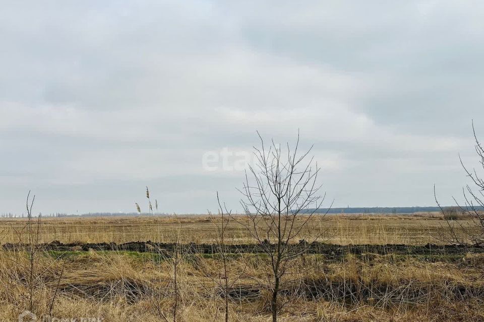 земля р-н Тахтамукайский СТ Приозёрное фото 2