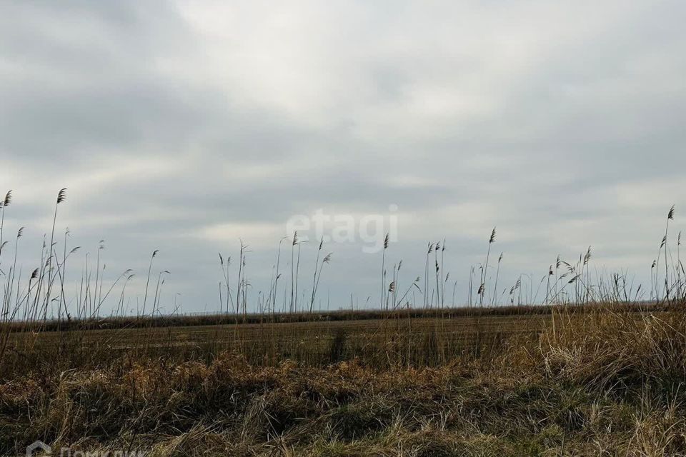 земля р-н Тахтамукайский СТ Приозёрное фото 4