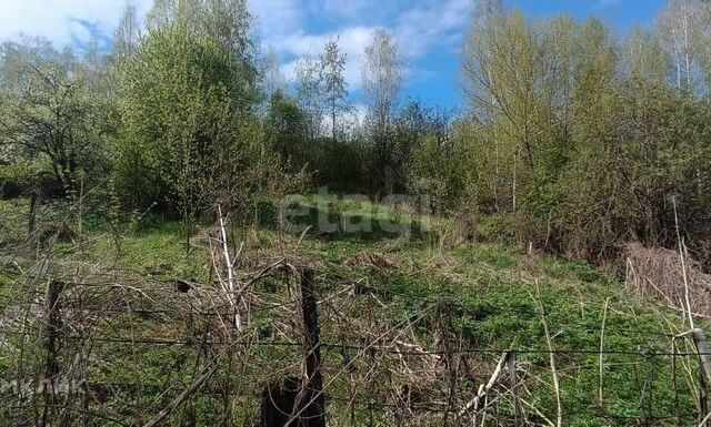 земля Горно-Алтайск городской округ, СТ Электрик фото