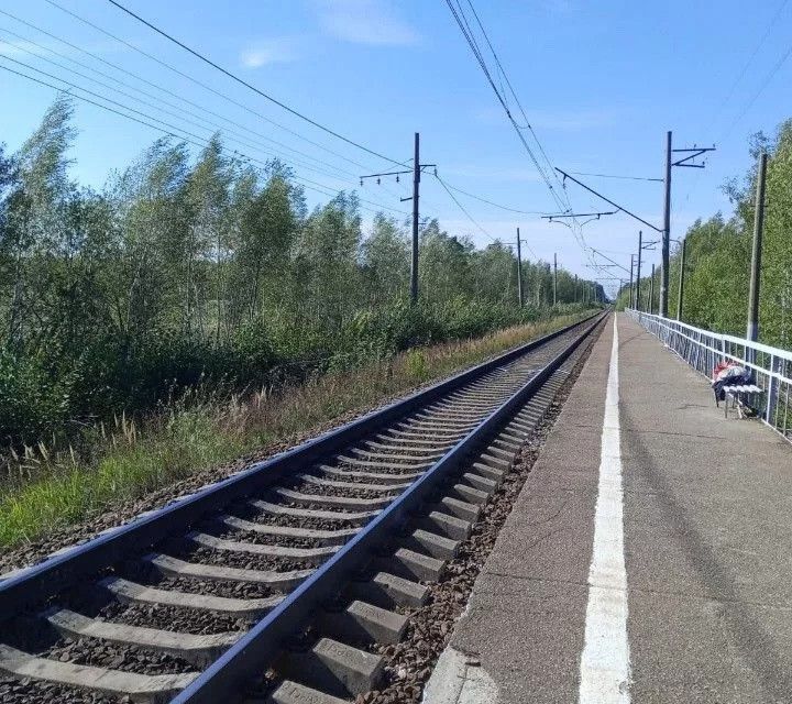 дом р-н Рыбновский садоводческое товарищество Эдем фото 2