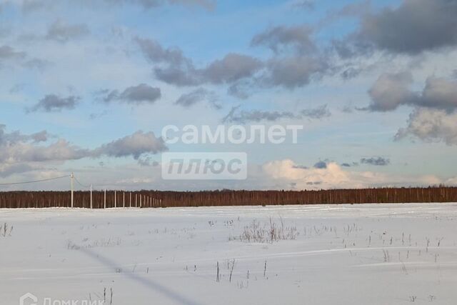 ул Центральная Переславль-Залесский городской округ фото