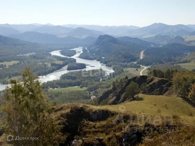 земля р-н Алтайский с. Нижнекаянча фото 3