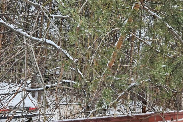 земля снт Чусовское Екатеринбург городской округ, 160 фото