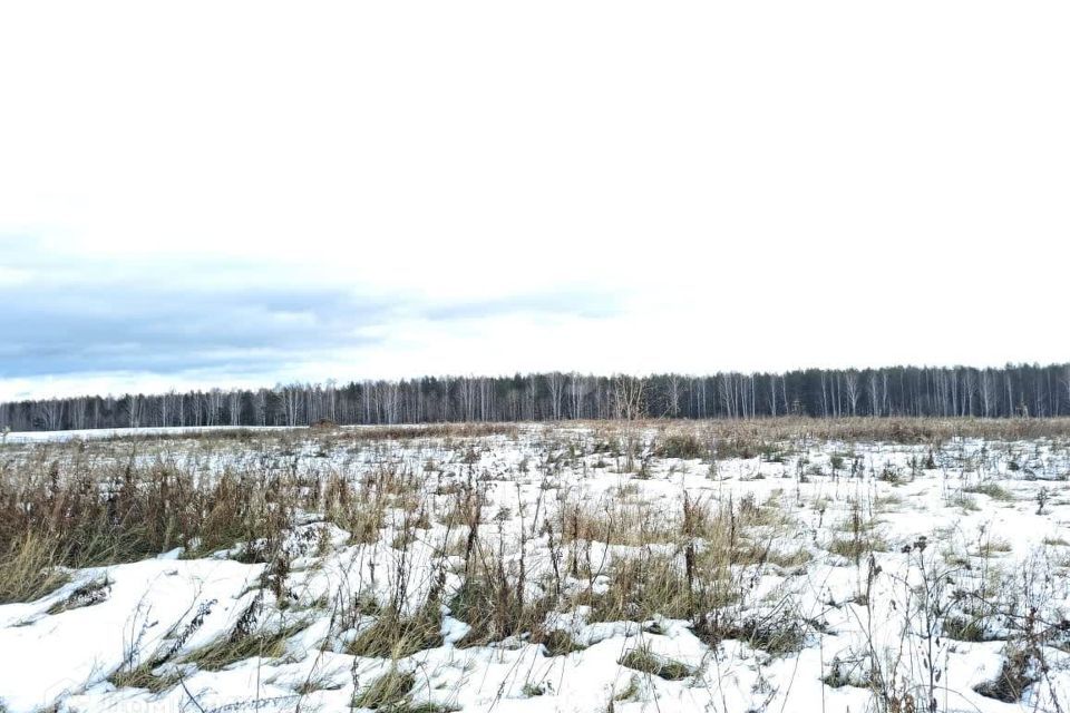 земля р-н Сысертский с Кадниково улица Малевича, 14 фото 2