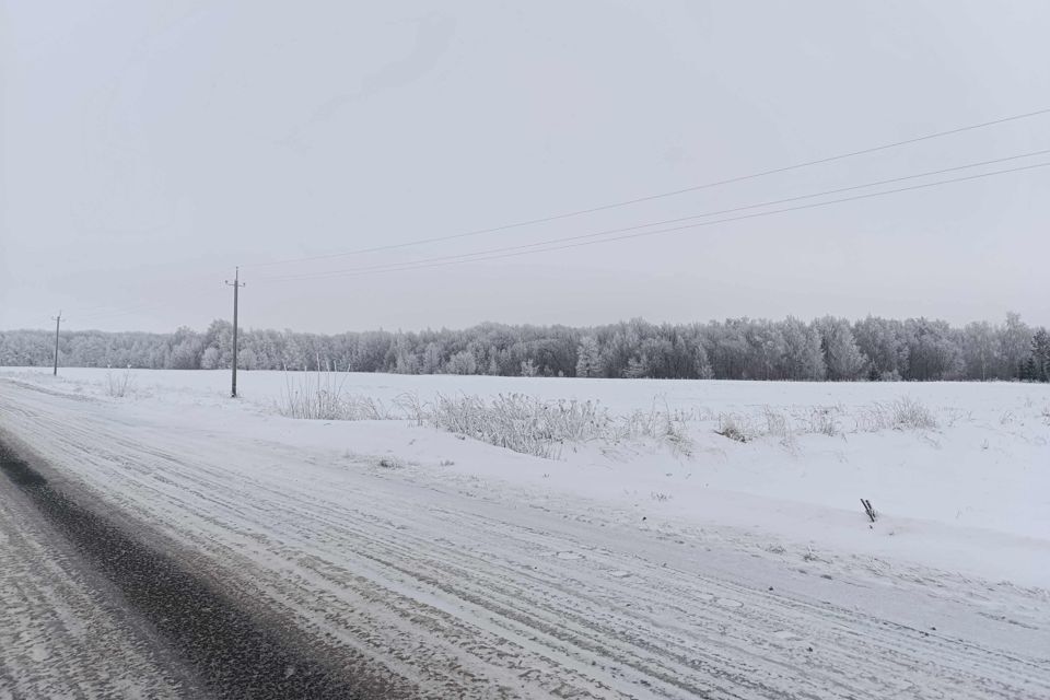 земля р-н Чебоксарский фото 2