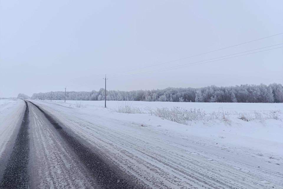 земля р-н Чебоксарский фото 3