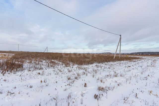 земля Тюмень городской округ, Тракт, улица Червишевский фото