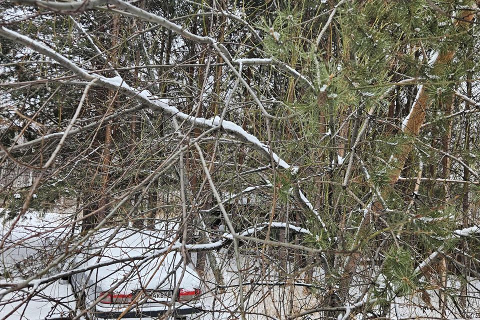 земля г Екатеринбург снт Чусовское Екатеринбург городской округ, 160 фото 4